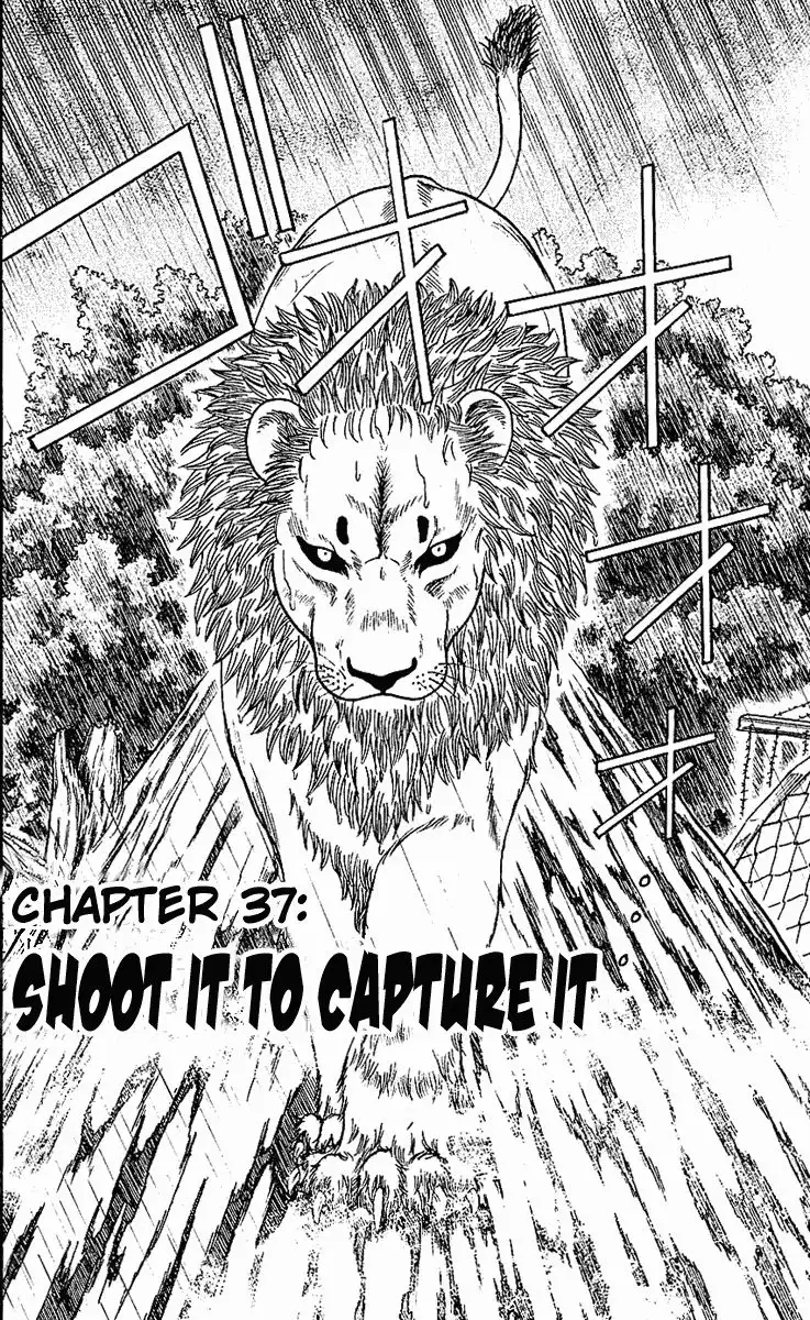 Wild Life Chapter 37 7